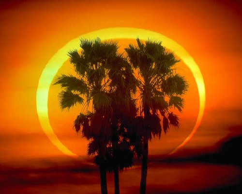 ����15�r(sh��)�vӍ�W(w��ng)ȫ��ֱ���խh(hu��n)ʳ�������^(�D)