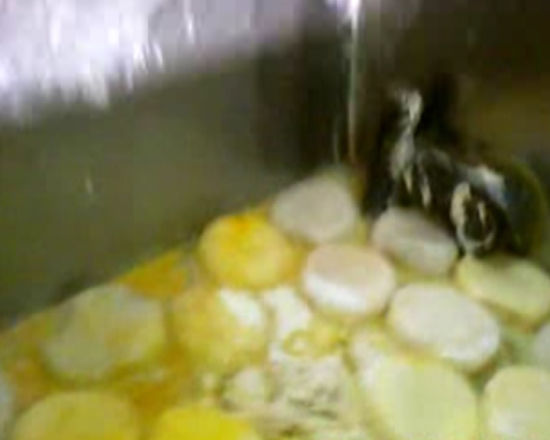 回收饅頭+著色劑=“玉米饅頭” 回收饅頭+著色劑=“玉米饅頭”