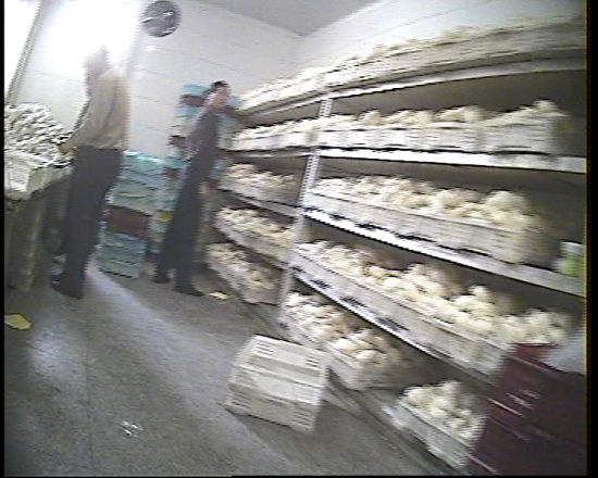 ÿ�������f�����f�z�^�M���Ϻ��A�ȳ���